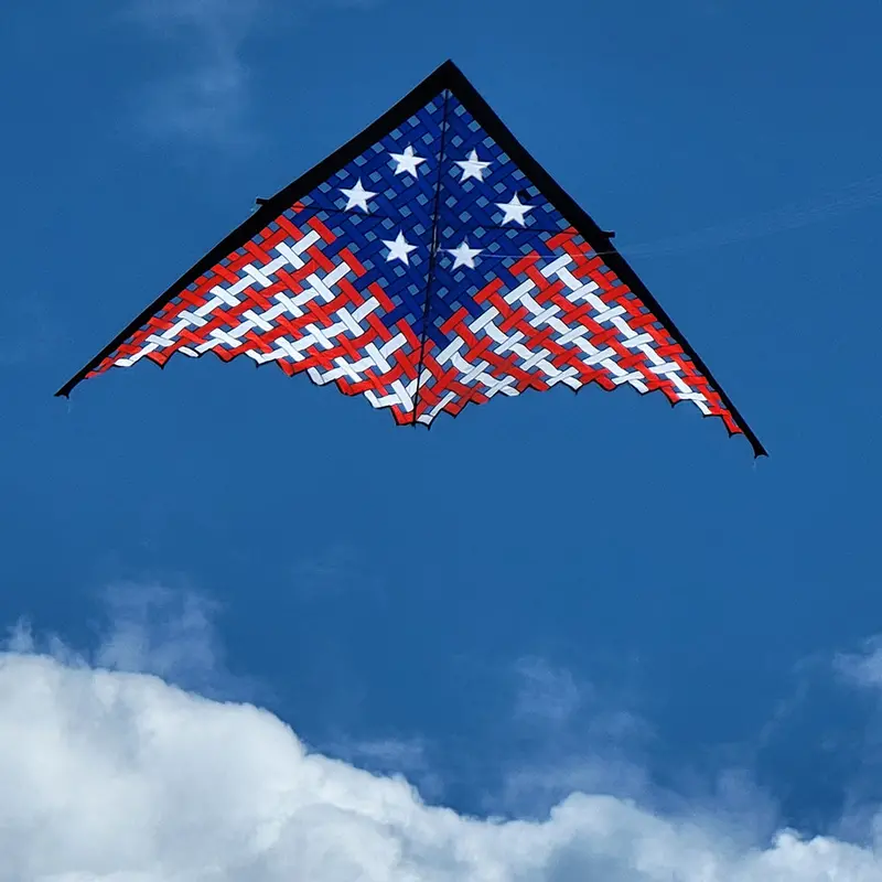 11-Foot Mesh Delta Kite In Patriotic Design 1