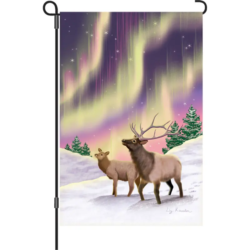 12-Inch Northern Lights Inspired Flag 1