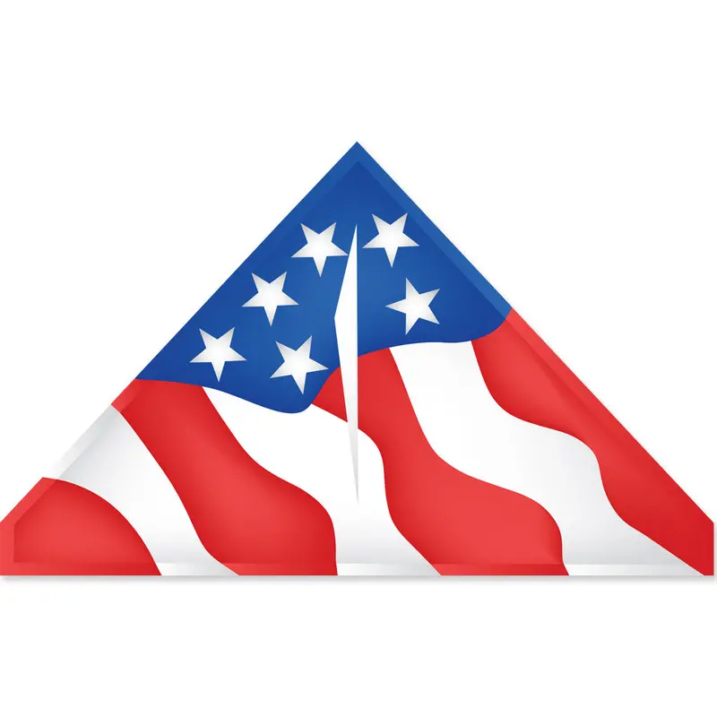 56-Inch Patriotic Delta Kite By Bold Innovations 1