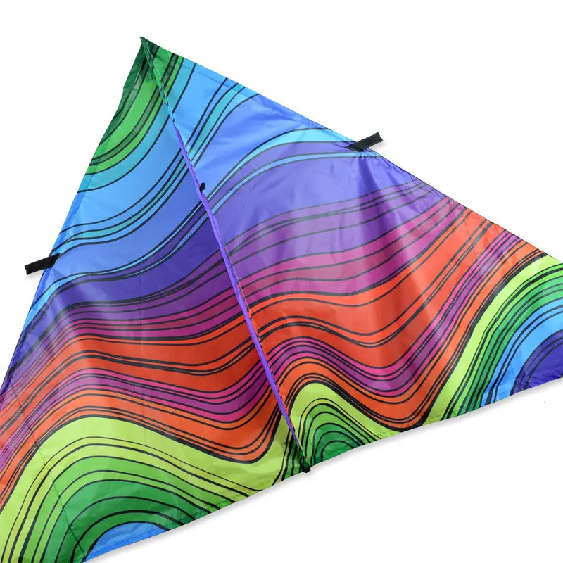 9-Foot Electromagnetic Rainbow Delta Kite 1