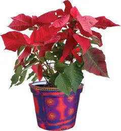Aztec Sunrise Pattern Pot Cover 1