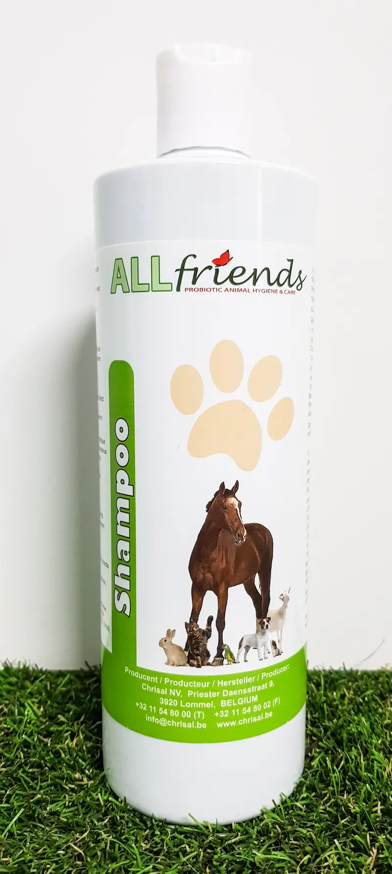 Bulk Dairy Farm Shampoo Pack – 15 X 500Ml Bottles (Dlhs) 1