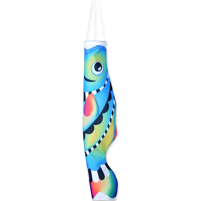 Cool-Tone Rainbow Koi Windsock For Modern Yards 1