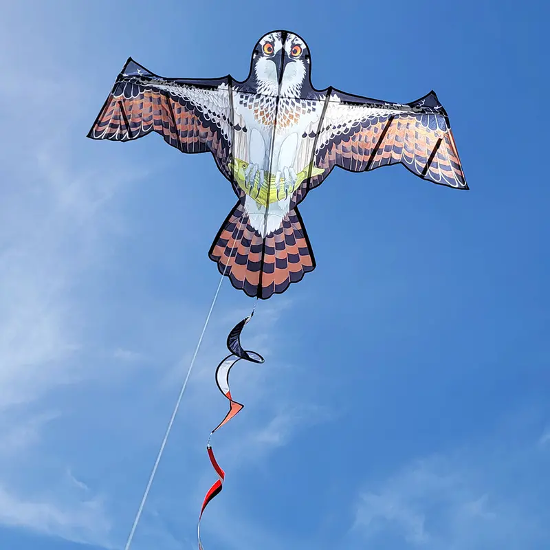 Flapping Bird Kite Inspired By The Osprey 1