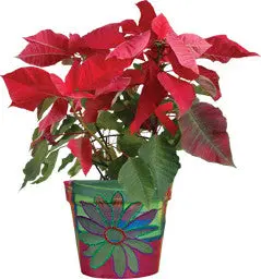 Glitter Floral Design Planter Sleeve 1