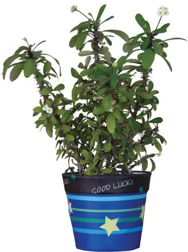 Good Luck Motif Planter Cover 1
