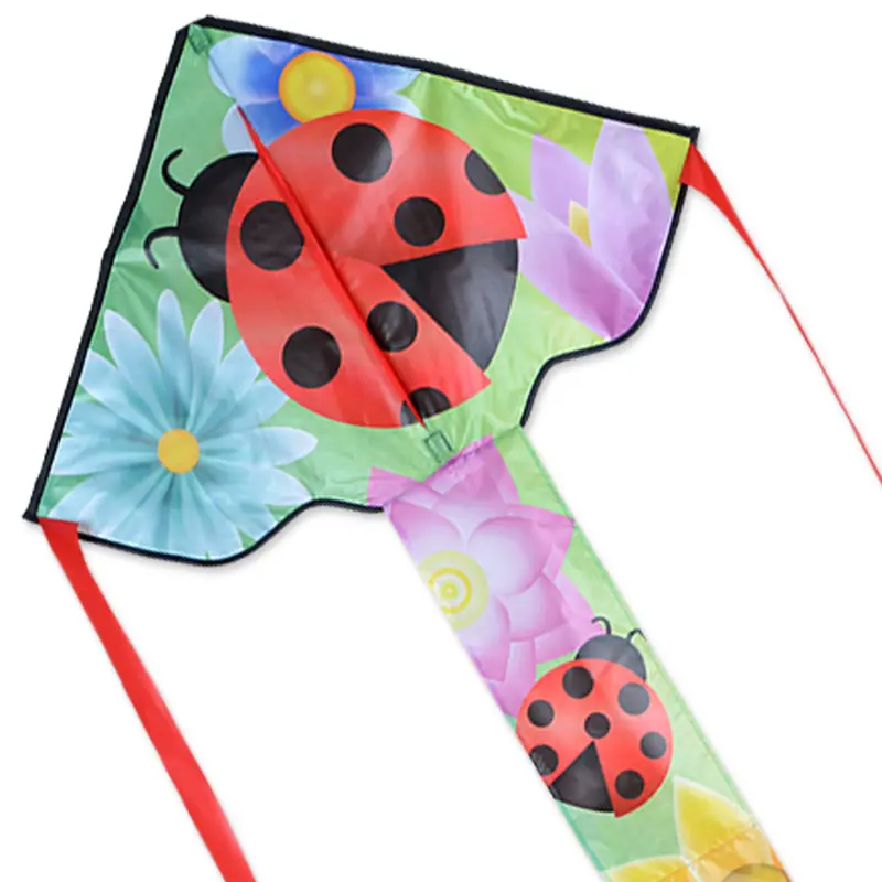 Ladybug Easy-Flyer Kite For Beginners 1