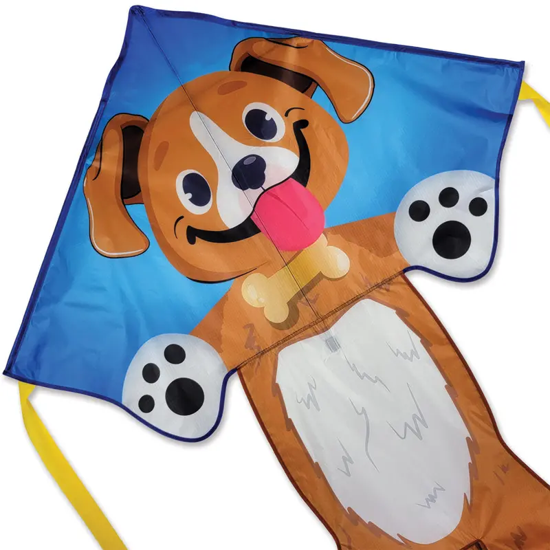 Large Easy-Fly Buddy Kite For Beginners 1
