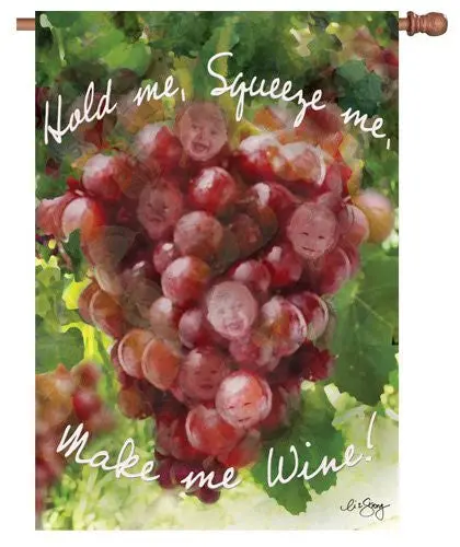 Make Me Wine Humorous Flag – 28-Inch Fun Adult-Oriented Yard Decor 1