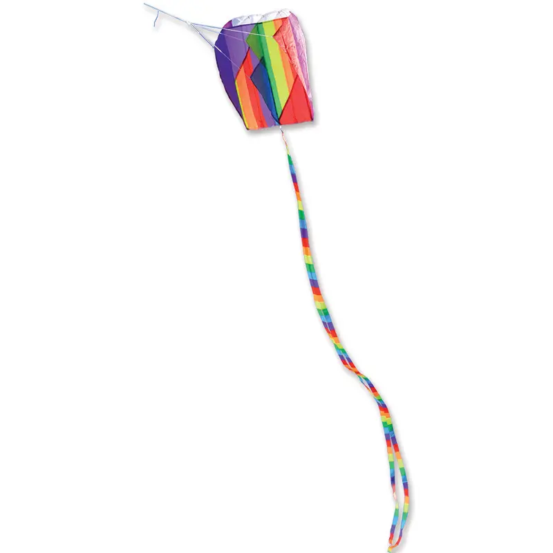 Para-Kite Model 2 – Beginner-Friendly Dual-Line Kite 1