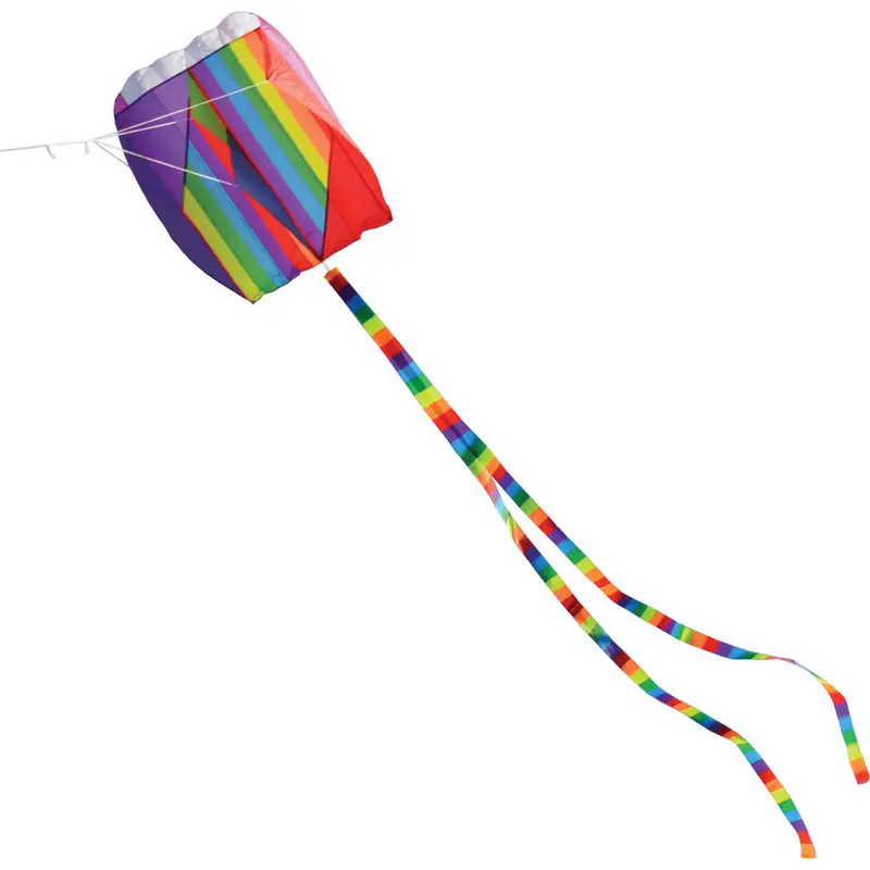 Para-Kite Model 5 – High-Performance Dual-Line Kite 1