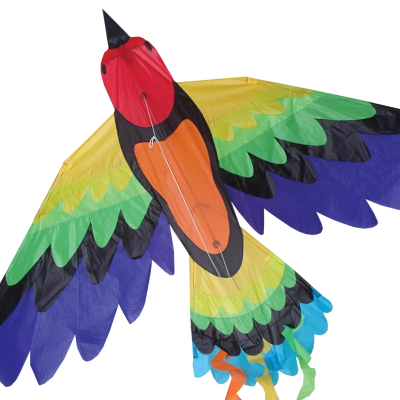 Rainbow Bird Design Kite 1